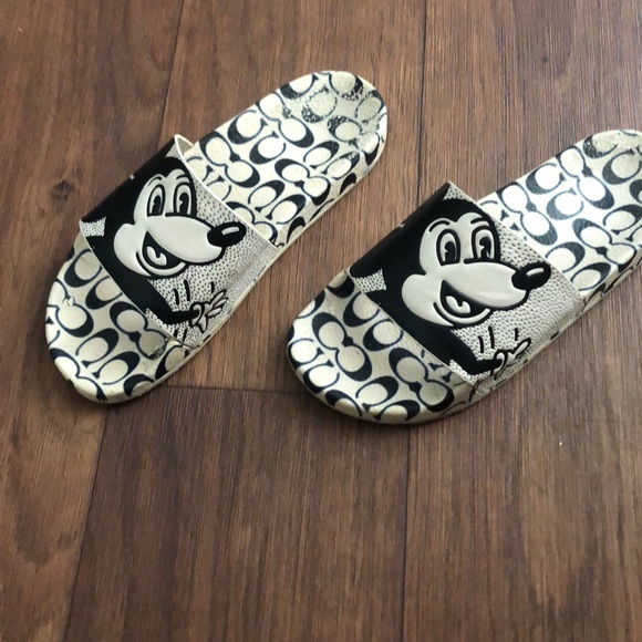 Coach slides - Picture 3 of 4